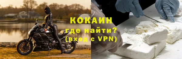 гидра Вязьма