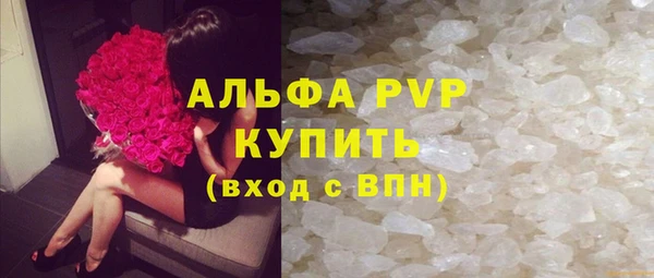 сатива Новокубанск