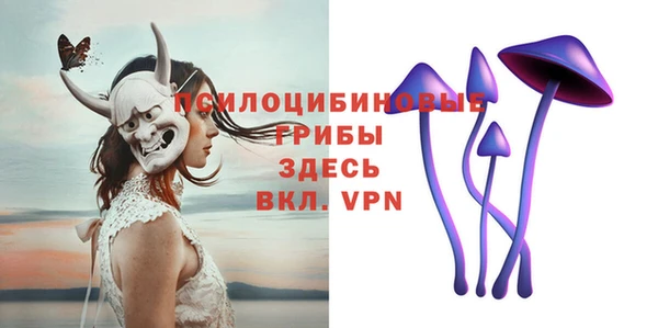 сатива Новокубанск
