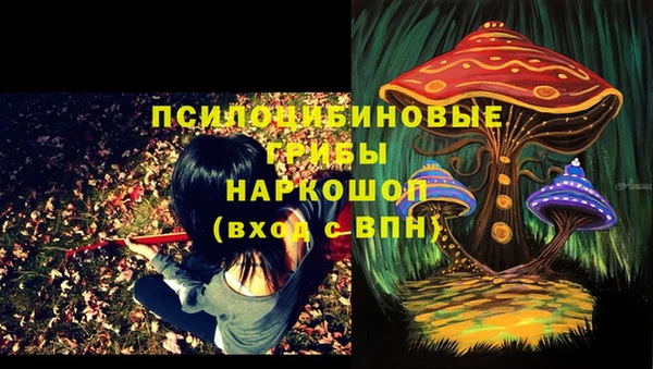 прущая мука Новозыбков