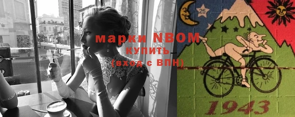 сатива Новокубанск