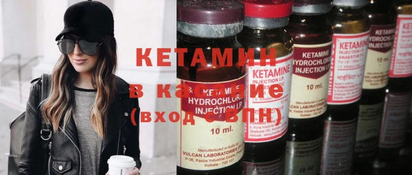 сатива Новокубанск