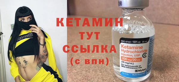 сатива Новокубанск
