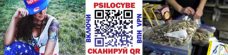 наркота Оха Галлюциногенные грибы Psilocybine cubensis