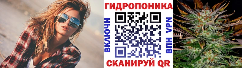 купить наркоту  кракен маркетплейс  Каннабис AK-47  Оха 